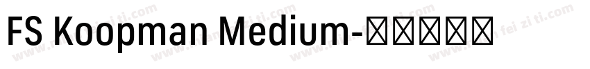 FS Koopman Medium字体转换
